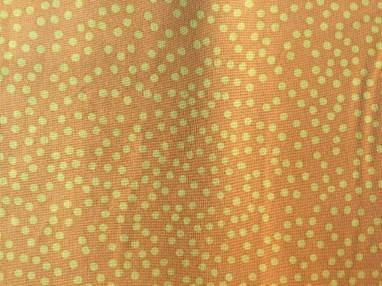 A picture containing fabric, standing, rug, curtain
Description automatically generated